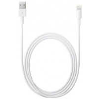 Apple Lightning to USB Cable 2M