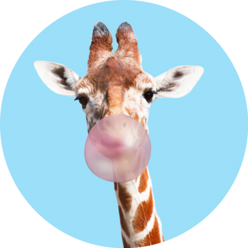 Nuckees / Original Generic -Giraffe Bubble Gum
