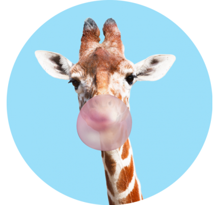 Nuckees / Original Generic -Giraffe Bubble Gum