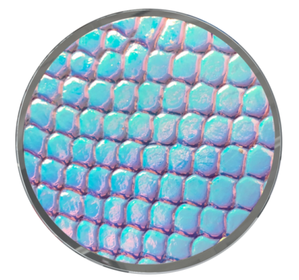 Nuckees / Trends Irridescent -Blue